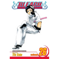 Bleach, Vol. 26 - Paperback