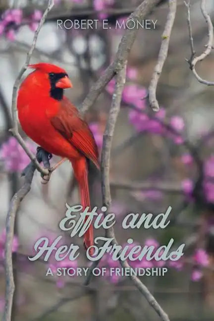 Effie and Her Friends: A Story of Friendship - Paperback