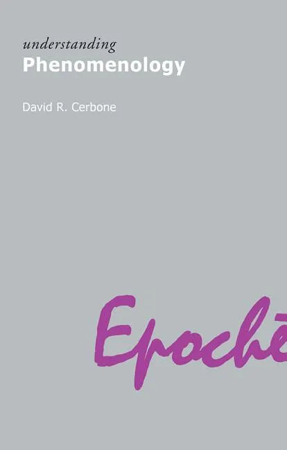 Understanding Phenomenology - Paperback