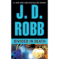 Divided in Death - Paperback