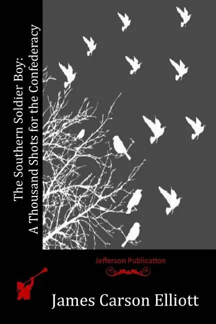 The Southern Soldier Boy: A Thousand Shots for the Confederacy - Paperback