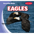 Eagles - Library Binding
