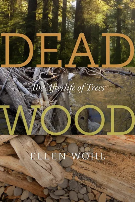 Dead Wood: The Afterlife of Trees - Paperback
