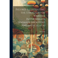 Figures Illustrating the Structure of Various Invertebrate Animals, (Mollusks and Articulata) - Paperback