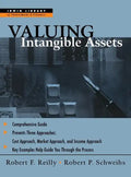 Valuing Intangible Assets - Hardcover