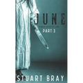 June: Broken pieces of June 3 - Paperback