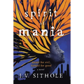 Spirit of Mania: Meant for Evil, Turned for Good A Novel - Hardcover