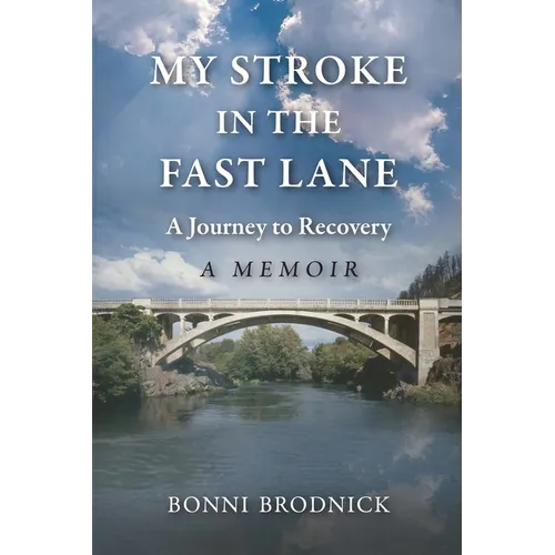 My Stroke in the Fast Lane: A Journey to Recovery - Paperback