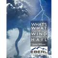 What's What of Wind and Hail - Paperback