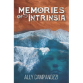 Memories of Intrinsia: A Novella - Paperback