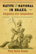 Native and National in Brazil: Indigeneity After Independence - Paperback