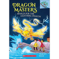 Search for the Lightning Dragon - Hardcover
