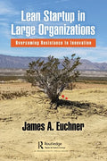 Lean Startup in Large Organizations: Overcoming Resistance to Innovation - Paperback
