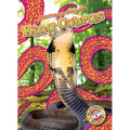 King Cobras - Library Binding