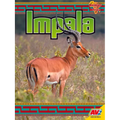Impala - Library Binding