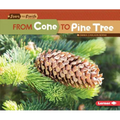 From Cone to Pine Tree - Paperback