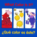 What Color Is It? - Board Book