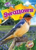 Swallows - Library Binding