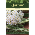 Yarrow: Herb of the Year(TM) 2024 - Paperback