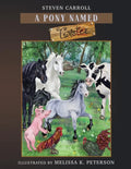 A Pony Named Twister: Big Dreams - Paperback