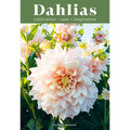 Dahlias: Inspiration, Cultivation and Care for 222 Varieties - Hardcover
