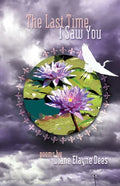 The Last Time I Saw You - Paperback