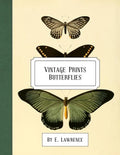 Vintage Prints: Butterflies - Paperback