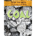 How Coal Is Formed - Library Binding