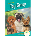 Toy Group - Library Binding