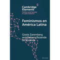 Feminismos en América Latina - Paperback