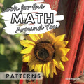 Look for the Math Around You: Patterns - Paperback