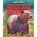 Grizzly Bear - Library Binding