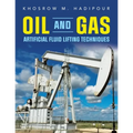 Oil and Gas Artificial Fluid Lifting Techniques - Paperback