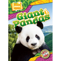 Giant Pandas - Library Binding