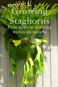 Growing Staghorns from Spore - Paperback