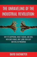 The Unraveling of the Industrial Revolution: Why It's Happening, What It Means, and How, with God's Grace, Our '5,000-Year Leap' Can Still Be Preserve - Paperback
