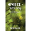 Reproducible Pastoral Training: Church Planting Guidelines from the Teachings of George Patterson - Paperback