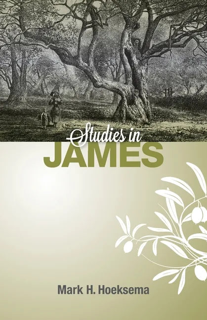 Studies in James - Paperback