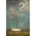 2 Degrees - Paperback