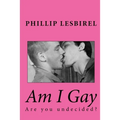 Am I Gay: A book for questioning youth - Paperback