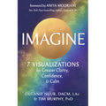 Imagine: 7 Visualizations for Greater Clarity, Confidence, and Calm - Paperback