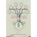 Basic Qi Dao Workbook: The Experiential Guide To Tibetan Shamanic Qigong - Paperback