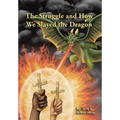 The Struggle and How We Slayed the Dragon - Hardcover