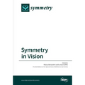 Symmetry in Vision - Paperback