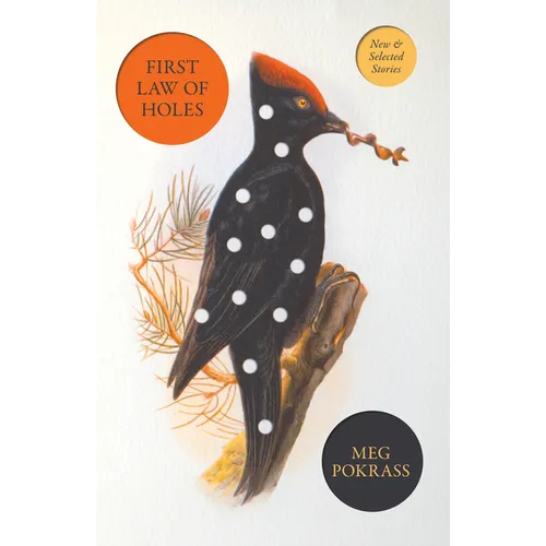 First Law of Holes: New and Selected Stories - Paperback