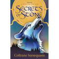 Secrets of Stone - Paperback