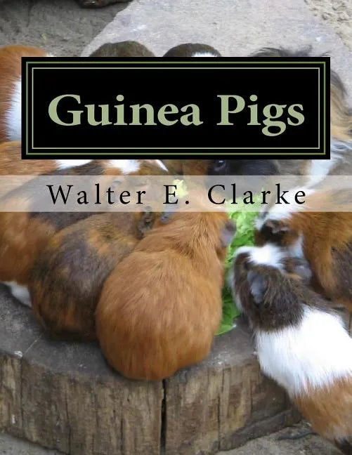 Guinea Pigs: A Practical Treatise on their Breeding, Feeding and Management of Cavies - Paperback