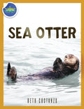 Sea Otter ages 2-4 - Paperback