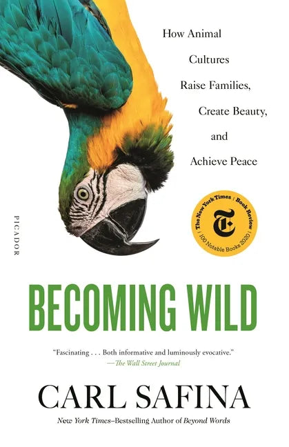 Becoming Wild: How Animal Cultures Raise Families, Create Beauty, and Achieve Peace - Paperback
