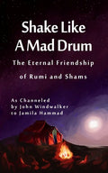 Shake Like A Mad Drum: The Eternal Friendship Of Rumi And Shams - Paperback